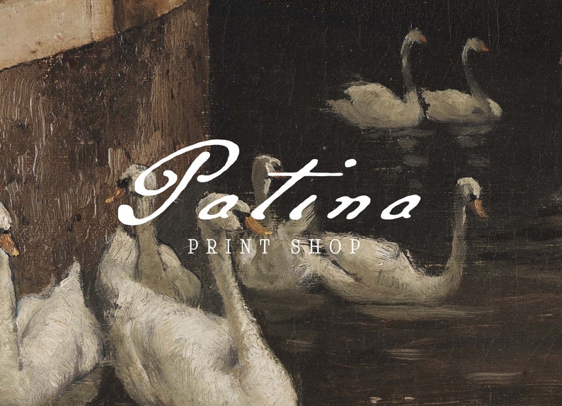 May include: A painting of white swans swimming in a dark body of water. The text "Patina Print Shop" is written in white cursive letters on the image.