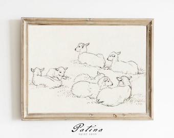 Baby Sheep Drawing | Nursery Art Print | Vintage Drawing | Antique Sketch | Nursery Wall Art | Printable Wall Decor | LAMBS | 004