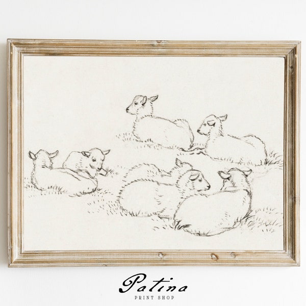 Baby Sheep Drawing | Nursery Art Print | Vintage Drawing | Antique Sketch | Nursery Wall Art | Printable Wall Decor | LAMBS | 004