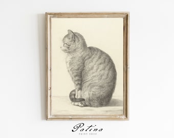 ヴィンテージ猫の絵 | 猫アート | アンティークスケッチ | ヴィンテージ動物プリント | 動物アートプリント | 印刷可能な壁アート | 座っているトラ猫 | 008