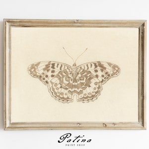 BUTTERFLY | Vintage Drawing | Butterfly Print | Butterfly Etching | Farmhouse Wall Décor | Downloadable Art | Printable Wall Art | 002
