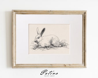 Vintage Rabbit Drawing | Antique Sketch | Vintage Animal Art | Black & White Drawing | Nursery Decor | Printable Wall Art | RABBIT | 81
