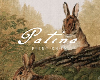 Rabbit Vintage Animal Print | Nursery Wall Art | Bunny Printable | Downloadable Art | RABBITS | 263
