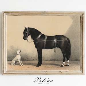 Vintage Horse Print | Vintage Dog | Antique Horse Painting | Farm Animal Art | Equestrian Decor| BEST FRIENDS | 383