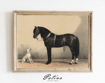 Vintage Horse Print | Vintage Dog | Antique Horse Painting | Farm Animal Art | Equestrian Decor| BEST FRIENDS | 383