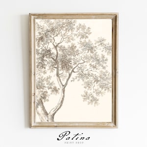 Vintage Tree Drawing | Tree Painting | Nature Art Print | Farmhouse Wall Art | Fall Decor | AUTUMN OAK | 87