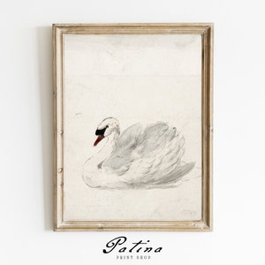 Vintage Swan Print | Antique Swan Painting | Vintage Nursery Wall Decor | Farmhouse Nursery | Vintage Printable Art | BABY SWAN | 372