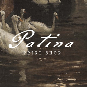 May include: A painting of white swans swimming in a dark brown pond. The text "Patina Print Shop" is written in white cursive lettering below the swans.