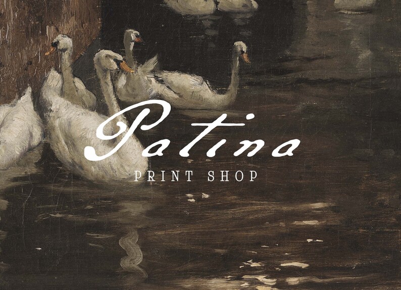May include: A painting of white swans swimming in a dark brown pond. The text "Patina Print Shop" is written in white cursive lettering below the swans.