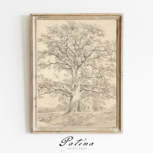 Vintage Sketch | Tree Sketch Art | Tree Drawing | Vintage Printable Art | GREAT OAK | 007
