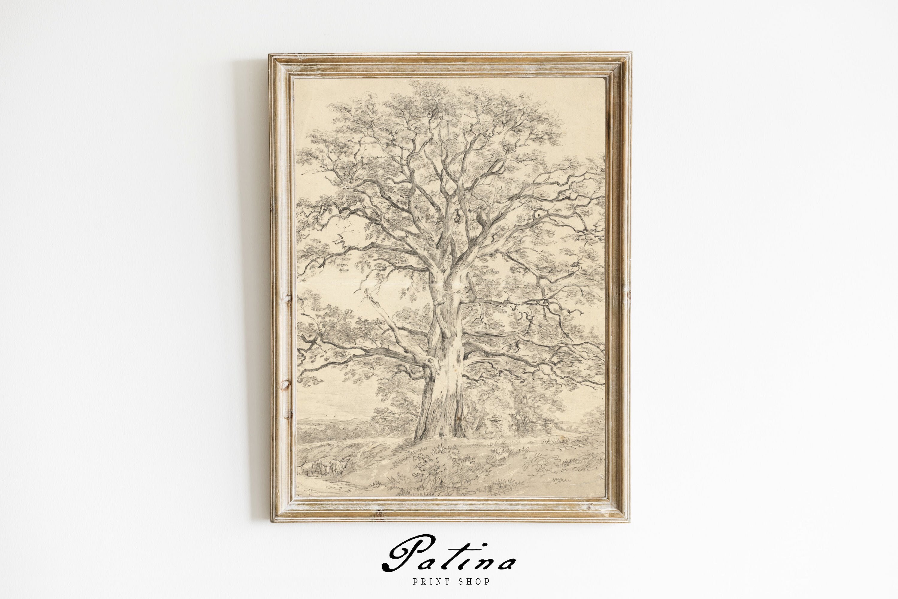 Vintage Sketch | Tree Sketch Art | Tree Drawing | Vintage Printable Art | GREAT OAK | 007