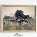 Cow Art Print | Farm Painting | Antique Cow Painting | Farmhouse Wall Art | Cow Printable | Downloadable Art | MORNING | 225 