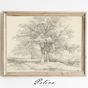 May include: A black and white pencil drawing of a group of trees in a landscape setting. The drawing is framed in a light wood frame.