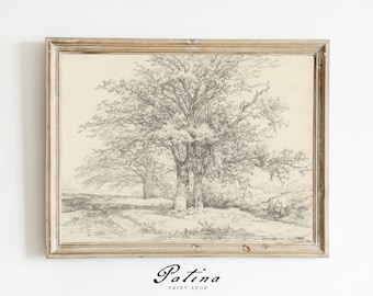 Vintage Tree Drawing | Nature Print | Botanical Sketch Art | Farmhouse Decor | Printable Wall Art | THREE TREES | 20