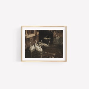 May include: A painting of a group of white swans swimming in a dark, murky canal. The swans are in a line, with their heads turned towards the viewer. The water is dark and murky, and the background is a dark, shadowy building.