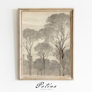 Vintage Tree Drawing | Tree Sketch Art | Vintage Sketch | Vintage Art Prints | Printable Wall Art | TALL TREES | 10