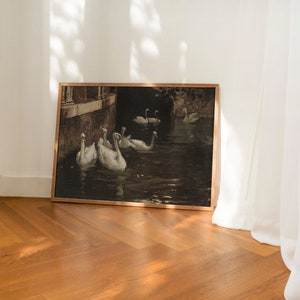 May include: A framed painting of a group of white swans swimming in a dark, murky water. The swans are in a row, with their heads turned to the side. The painting is set against a backdrop of a stone wall and a dark, shadowy area.