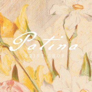 May include: A vintage illustration of yellow and white flowers with the text "Patina Print Shop" in white cursive lettering.
