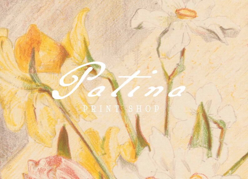 May include: A vintage illustration of yellow and white flowers with the text "Patina Print Shop" in white cursive lettering.