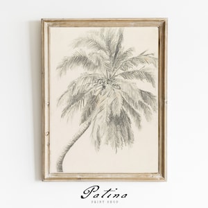Palm Tree Print | Vintage Tree Drawing | Beach Decor | Coastal Art | Digital Download | PALM TREE STUDY | 105