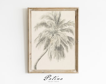 Palm Tree Print | Vintage Tree Drawing | Beach Decor | Coastal Art | Digital Download | PALM TREE STUDY | 105