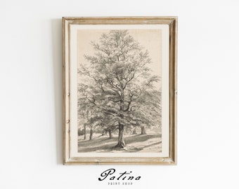 May include: A framed sepia-toned print of a large tree with a full canopy, rendered in a detailed, vintage style. The artwork is set against a light background, with the text "Patina Print Shop" at the bottom.