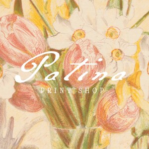 May include: A bouquet of pink tulips and yellow daffodils in a glass vase. The flowers are drawn in a vintage style with pencil and colored pencils. The text "Patina Print Shop" is written in white cursive lettering.