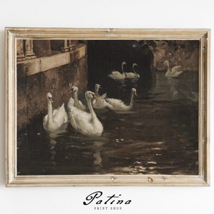 May include: A framed painting of a group of white swans swimming in a dark, murky pond. The swans are in a line, with their heads turned towards the viewer. The painting is set against a backdrop of a stone wall and trees.