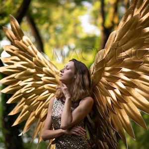 Gold Wings 