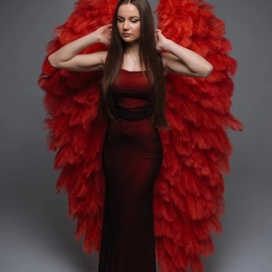 May include: A woman wearing a long, dark red dress and large, vibrant red feather wings. The wings are spread wide, creating a dramatic effect. The background is a solid gray.