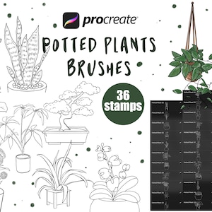 Potted plants stamps procreate brushes, procreate stamps, flower brushes, plant brushes