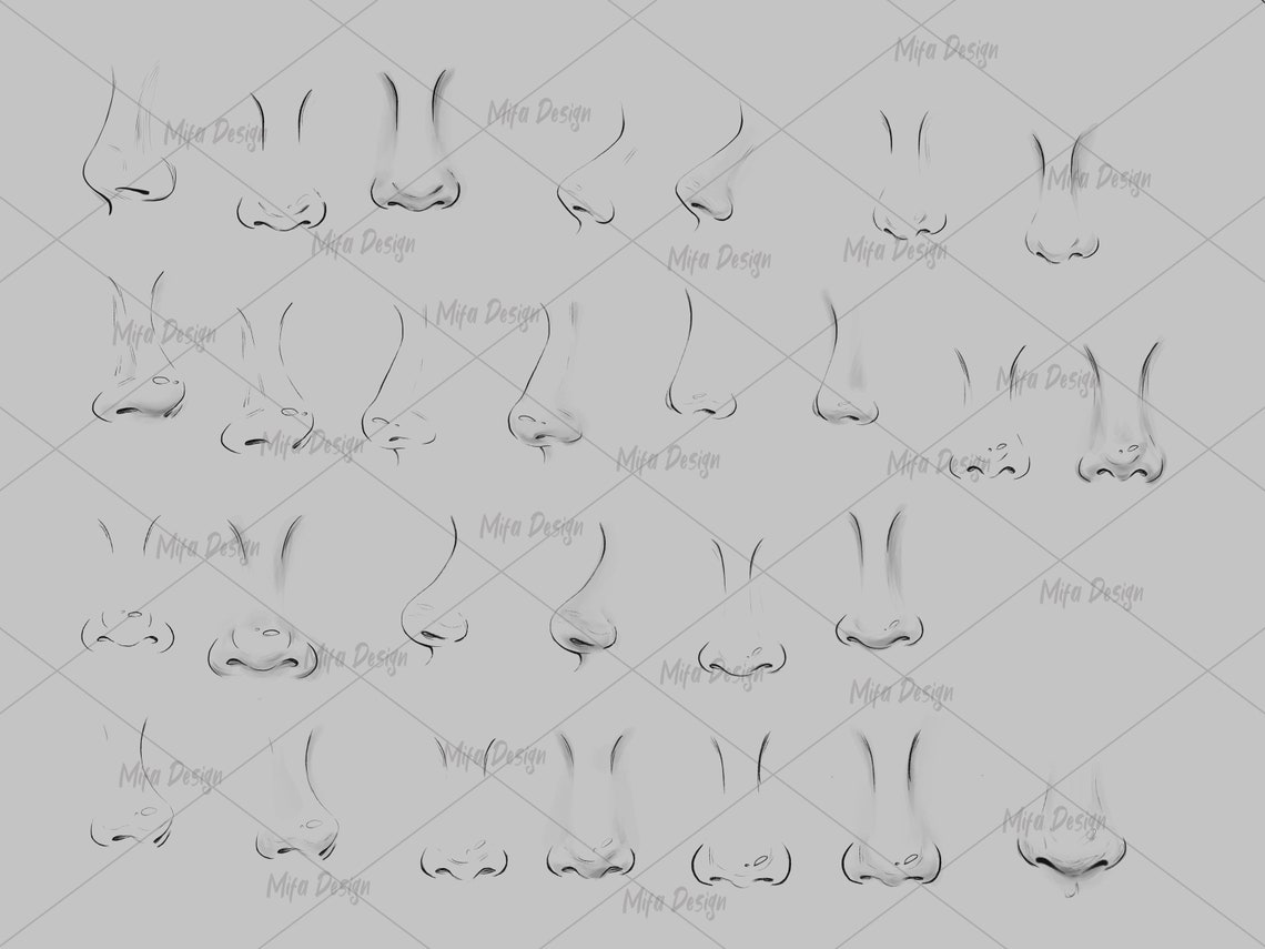 Procreate Nose NEW 28 Procreate Nose Brushes Nose Stamp Set Face Shape - Etsy