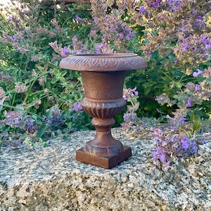 19th Century French Medici Cast Iron Urn Circa 1890’s