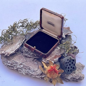 Antique Art Deco Jewellery box presentation Display Case Circa 1920’s