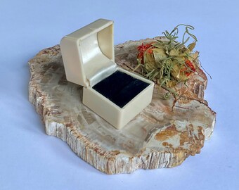 Art Deco Beige Bakelite Ring Box, Early Plastic Jewellery Presentation Box Circa 1920’s