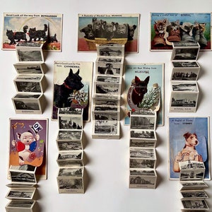 Vintage Lot von 7 Novelty Klapppostkarten von Katzen und Hunden aus Sydney, Melbourne, Brisbane und Canberra Circa 1950er Jahre