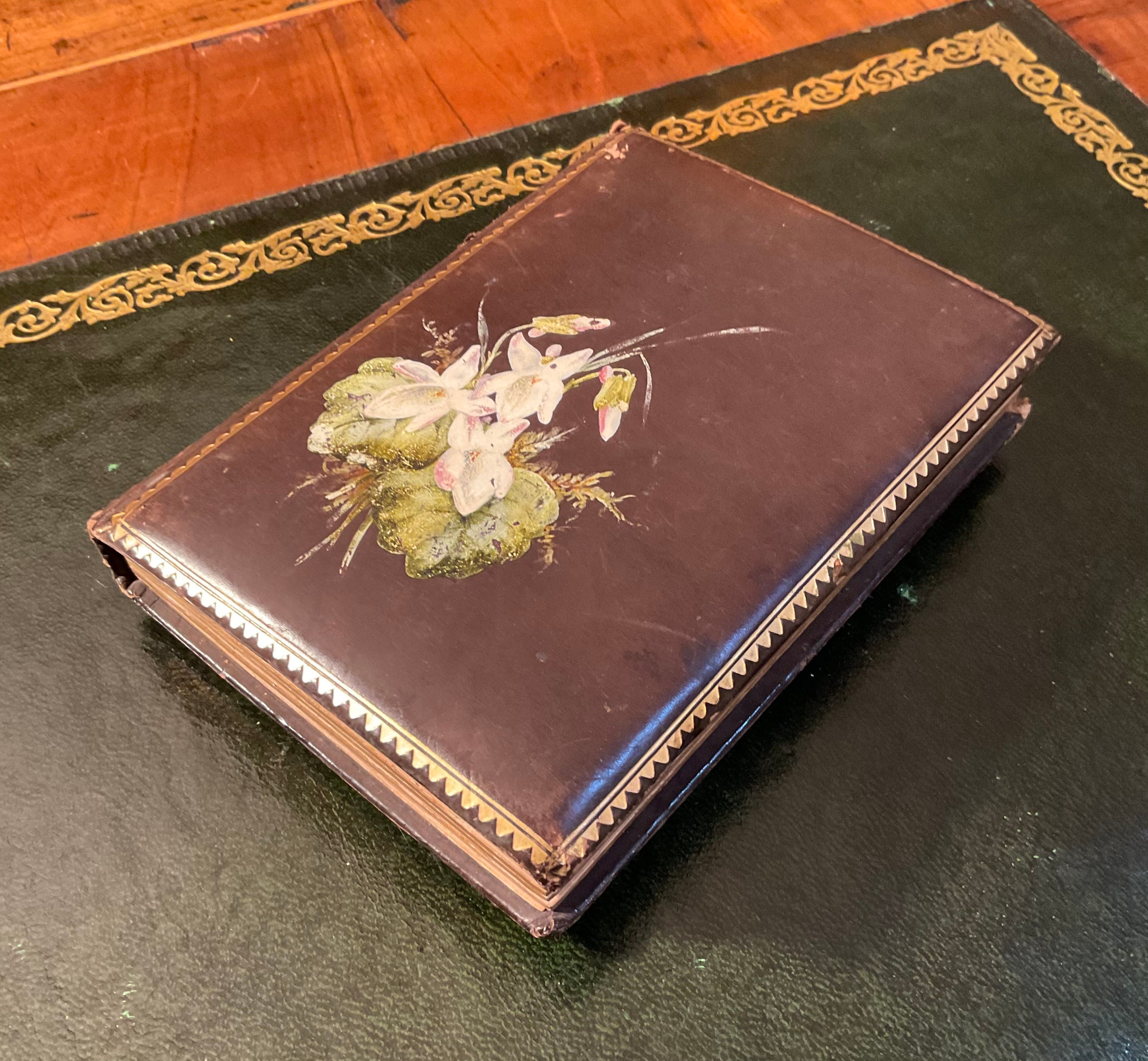 Victorian Photo Album: 19th Century Sepia Photographs, New Zealand Family
