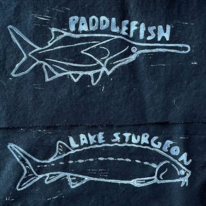 May include: Black fabric with white linocut illustrations of two fish. The top fish is labeled "Paddlefish" and has a long snout. The bottom fish is labeled "Lake Sturgeon" and has a pointed head and dorsal fin.