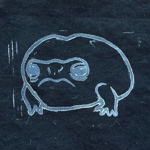 May include: A white outline of a frog with a sad expression on a dark blue fabric background.