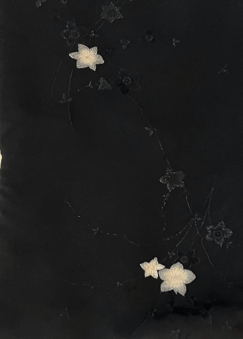 May include: A black fabric surface featuring delicate, embroidered floral motifs. The design includes several small, light-colored blossoms and thin, dark, trailing stems that extend across the dark background in a subtle, elegant arrangement.