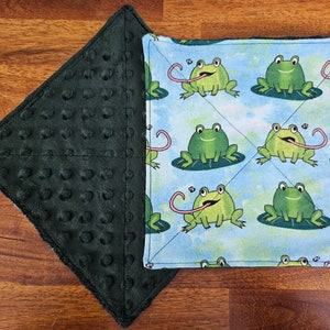 Frogs & Fishing Baby Washcloths, Baby Washcloths, Minky and Flannel Washcloths, Newborn Essentials, Soft Baby Washcloths, Minky Washcloths