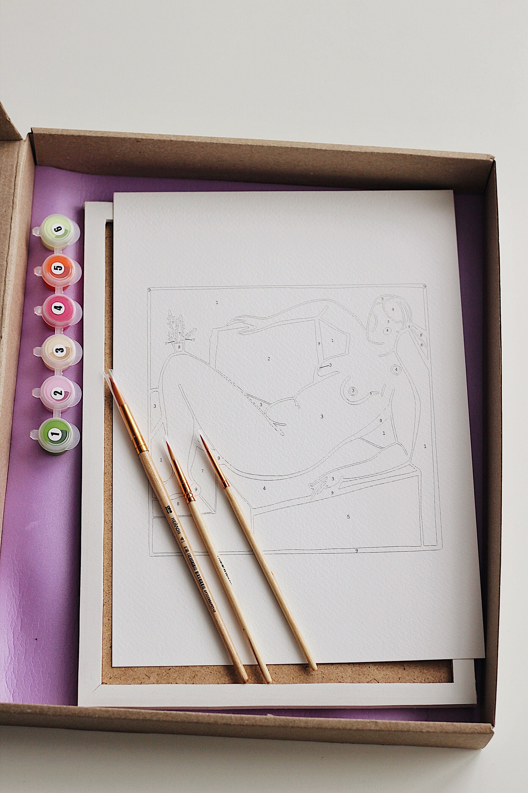 Paint by numbers kit craft kit for adults diy kit acrylic Etsy