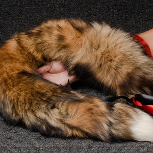 Può includere: Una lunga e soffice coda di volpe con pelo marrone, nero e bianco. La coda è arrotolata in un cerchio e tenuta da una mano. La coda è legata con un nastro rosso e nero.