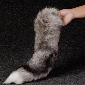 May include: A fluffy, gray and white faux fur tail. The tail is held by a hand against a dark gray background. The tail has a gradient of colors, transitioning from gray to black and ending in a white tip.