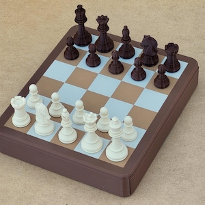 Magnetic Minichess Set: 5x6 Travel Chess Variant