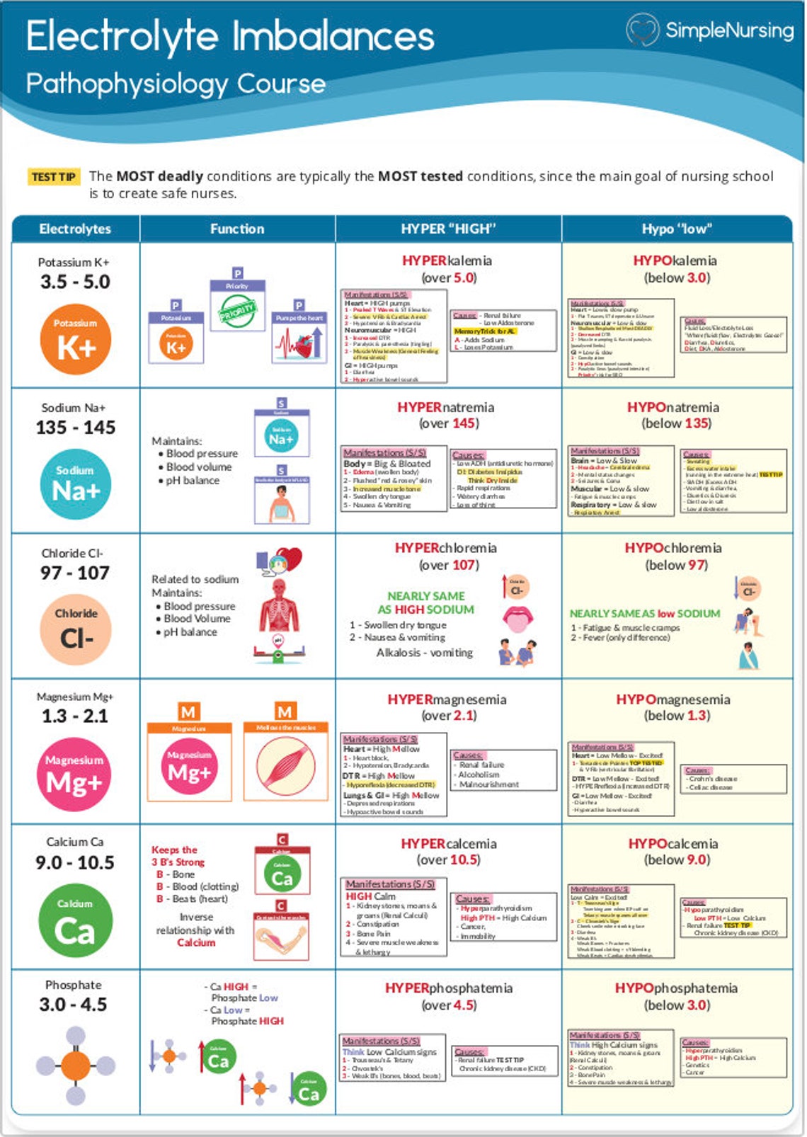 Pathophysiology Study Guide Bundle 185 Pages Digital - Etsy