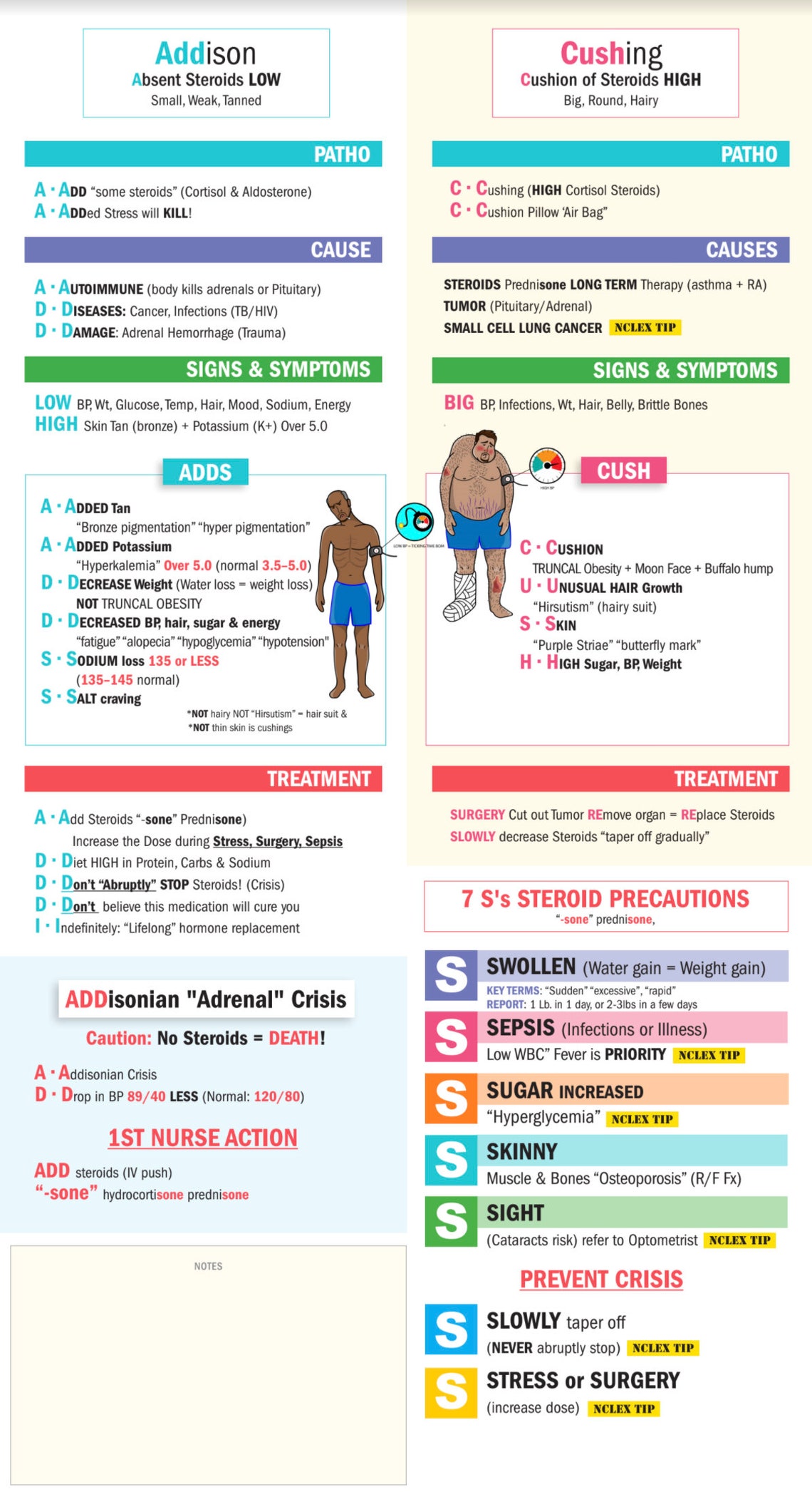 Med Surg Study Guide Bundle 200 Pages Digital Download Etsy