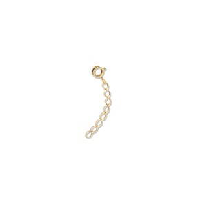 May include: A gold extender chain with a lobster clasp.