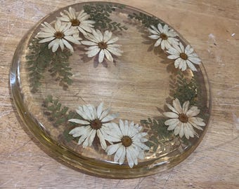 Vtg Lucite Trivet Pressed Daisy Fern Mid Century Modern Boho Resin Hot Plate