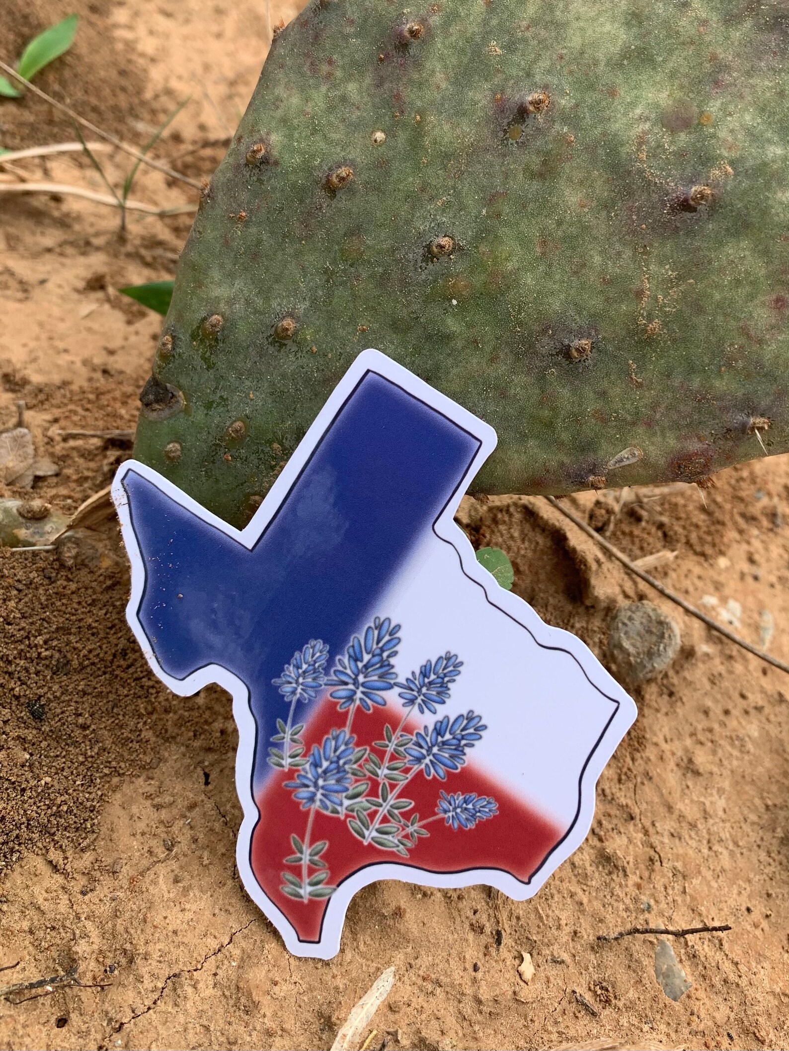 Vinyl Sticker Texas Sticker Texas Decal Etsy